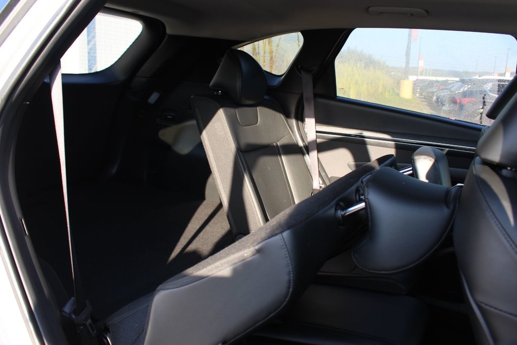 2024 Hyundai Tucson Trend | Roof | HtdSeats | Cam | Warranty to 2029 in Saint John, New Brunswick - 57 - w1024h768px