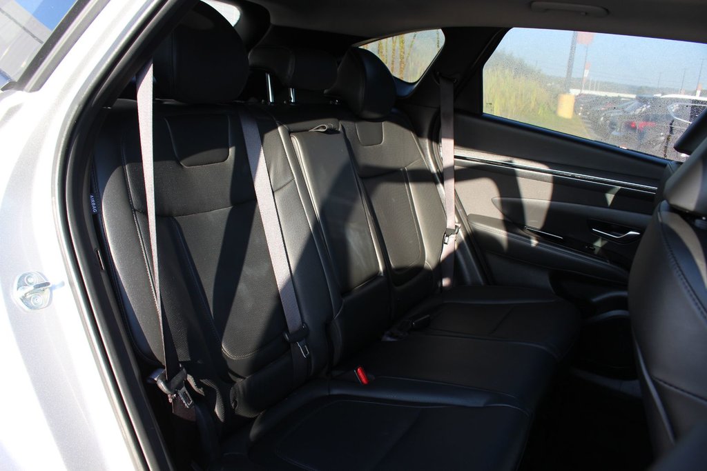 2024 Hyundai Tucson Trend | Roof | HtdSeats | Cam | Warranty to 2029 in Saint John, New Brunswick - 52 - w1024h768px