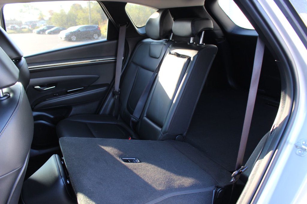2024 Hyundai Tucson Trend | Roof | HtdSeats | Cam | Warranty to 2029 in Saint John, New Brunswick - 46 - w1024h768px