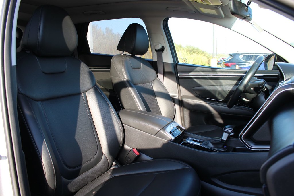 2024 Hyundai Tucson Trend | Roof | HtdSeats | Cam | Warranty to 2029 in Saint John, New Brunswick - 54 - w1024h768px
