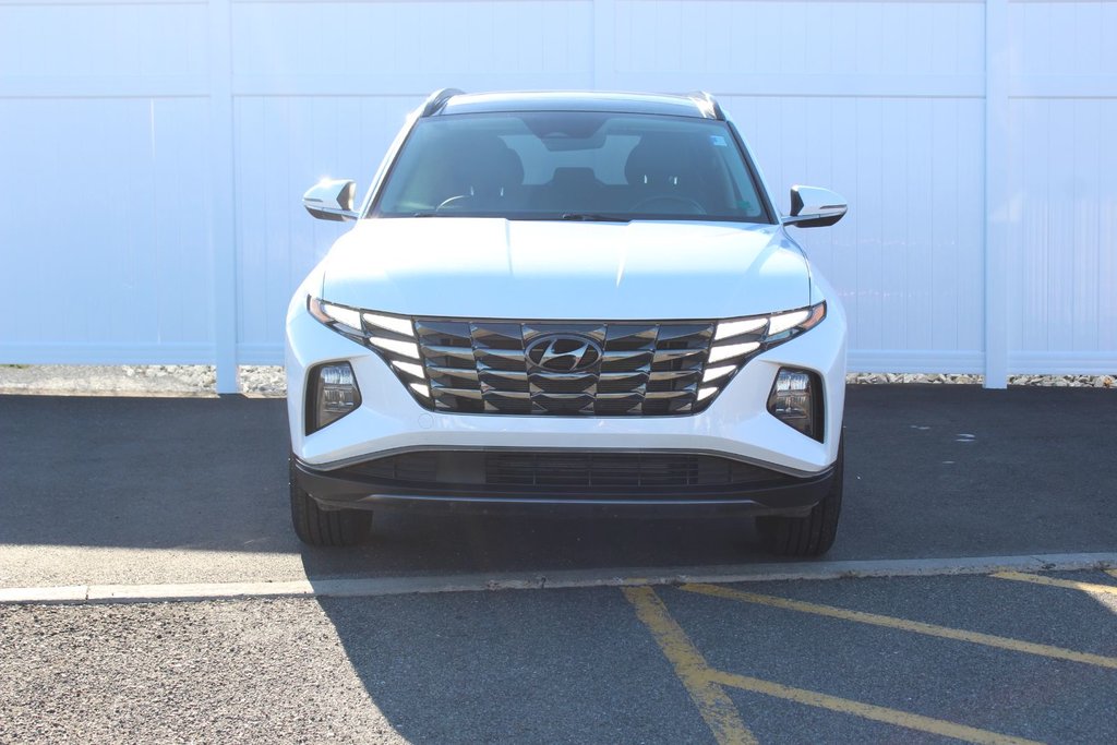 2024 Hyundai Tucson in Antigonish, Nova Scotia - 2 - w1024h768px