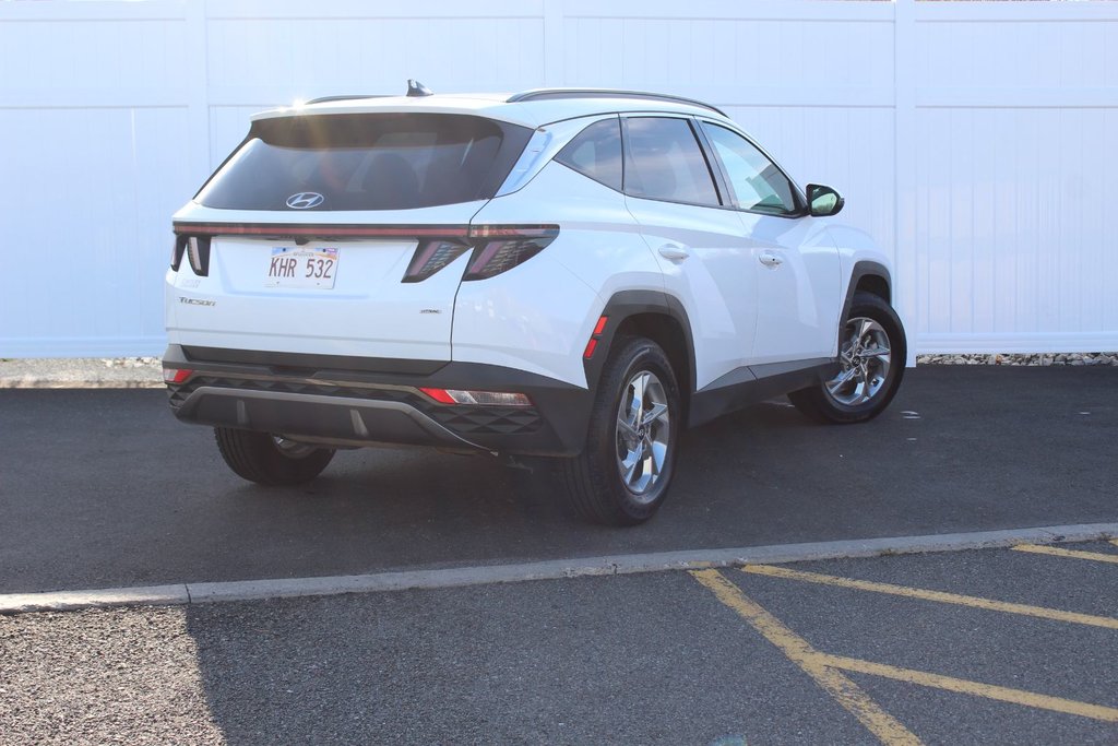 2024 Hyundai Tucson in Antigonish, Nova Scotia - 7 - w1024h768px