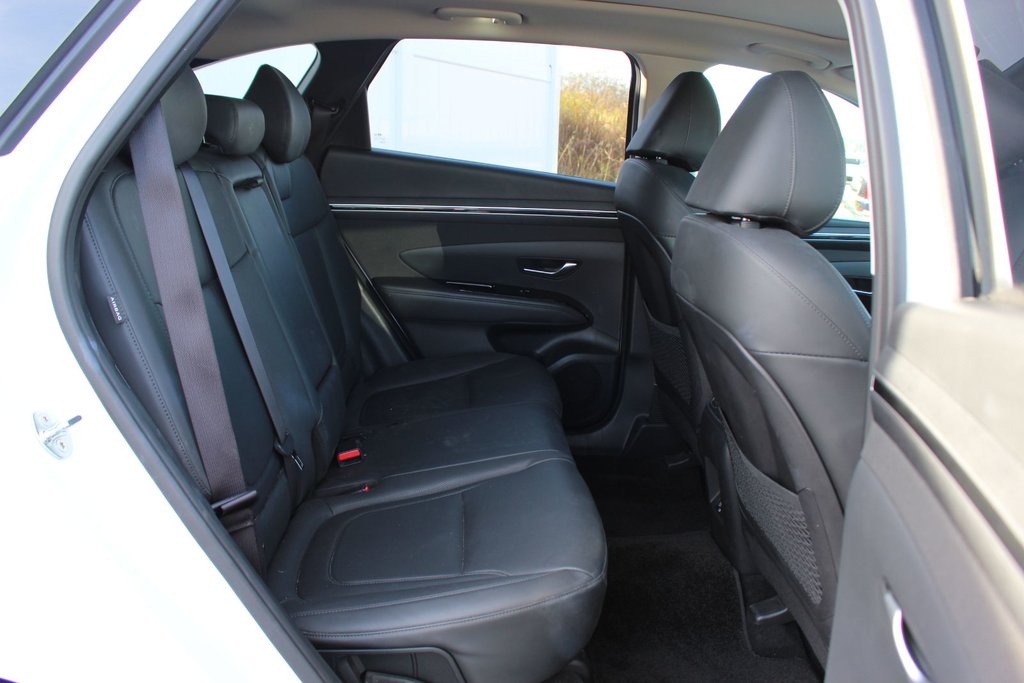 2024 Hyundai Tucson in Antigonish, Nova Scotia - 53 - w1024h768px