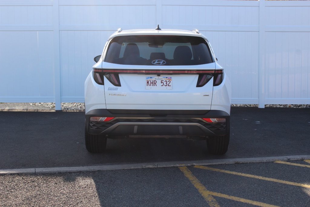 2024 Hyundai Tucson in Antigonish, Nova Scotia - 6 - w1024h768px