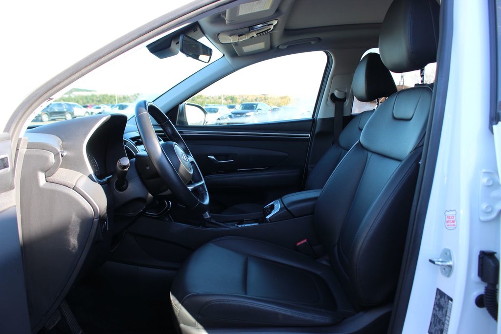2024 Hyundai Tucson in Antigonish, Nova Scotia - 15 - w1024h768px