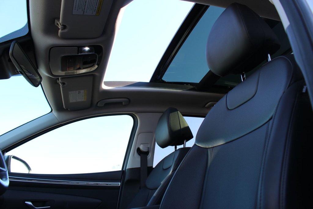 2024 Hyundai Tucson in Antigonish, Nova Scotia - 17 - w1024h768px