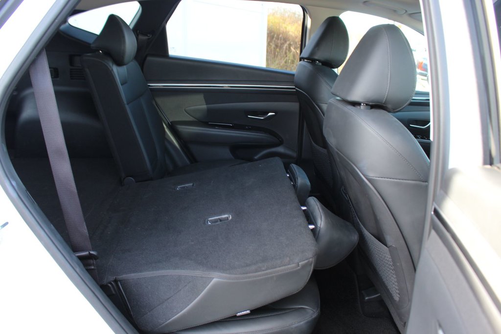 2024 Hyundai Tucson in Antigonish, Nova Scotia - 54 - w1024h768px