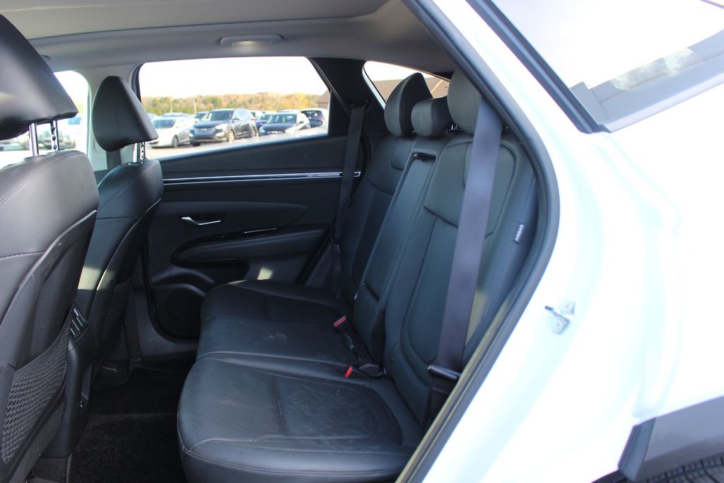 2024 Hyundai Tucson in Antigonish, Nova Scotia - 39 - w1024h768px
