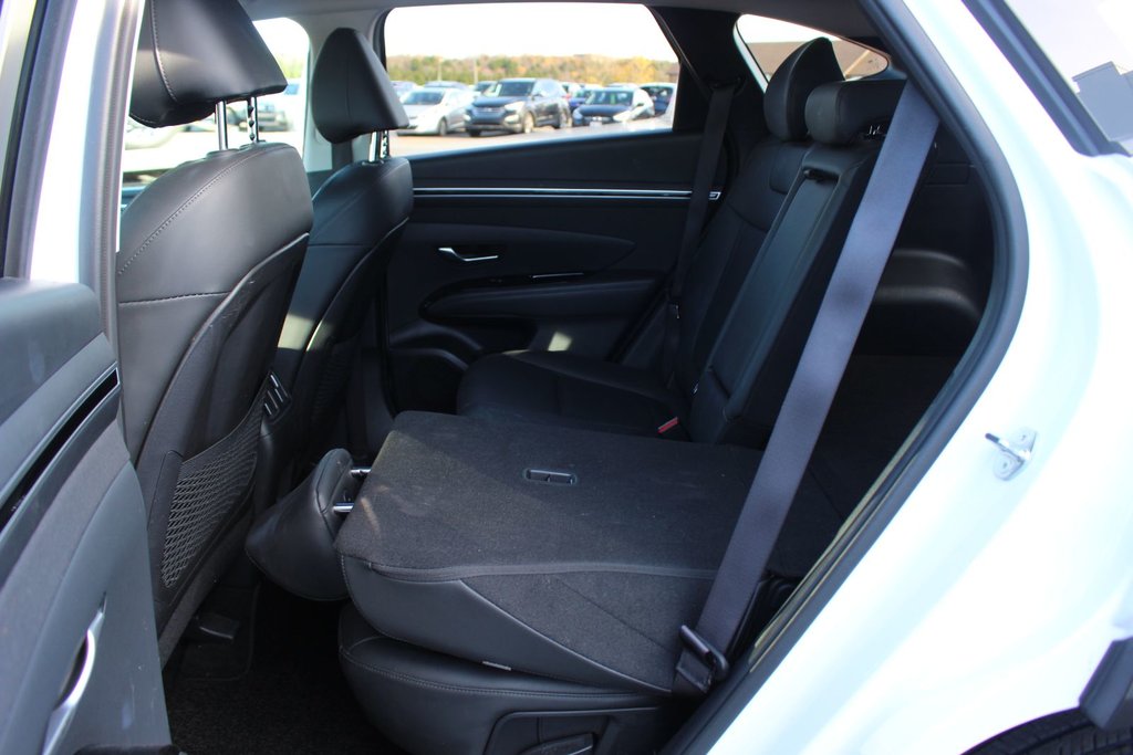 2024 Hyundai Tucson in Antigonish, Nova Scotia - 40 - w1024h768px