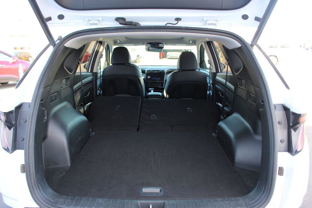 2024 Hyundai Tucson in Antigonish, Nova Scotia - 50 - w1024h768px