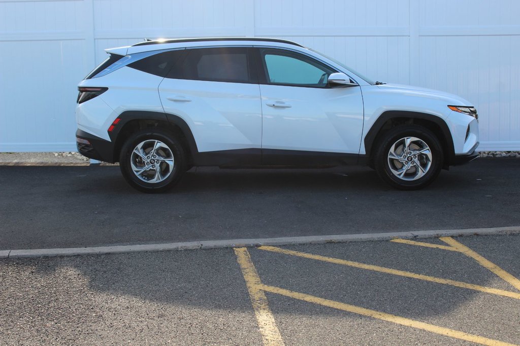 2024 Hyundai Tucson in Antigonish, Nova Scotia - 8 - w1024h768px