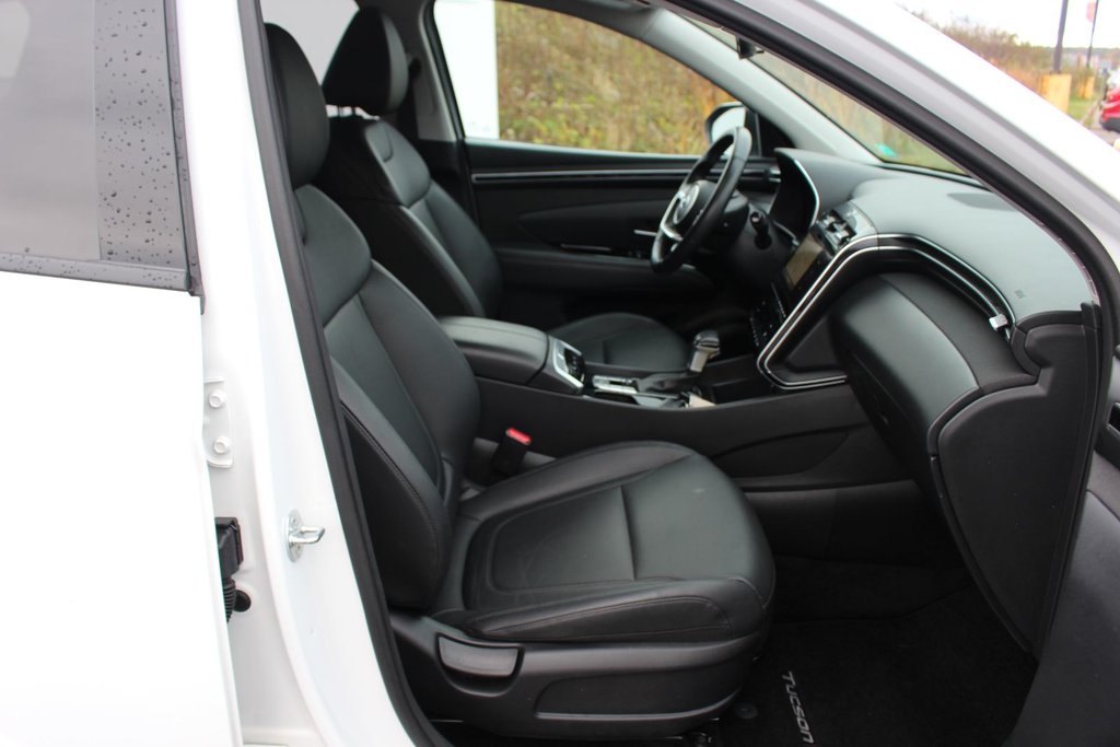 2024 Hyundai TUCSON Trend | Roof | HtdSeats | Cam | Warranty to 2029 in Saint John, New Brunswick - 38 - w1024h768px