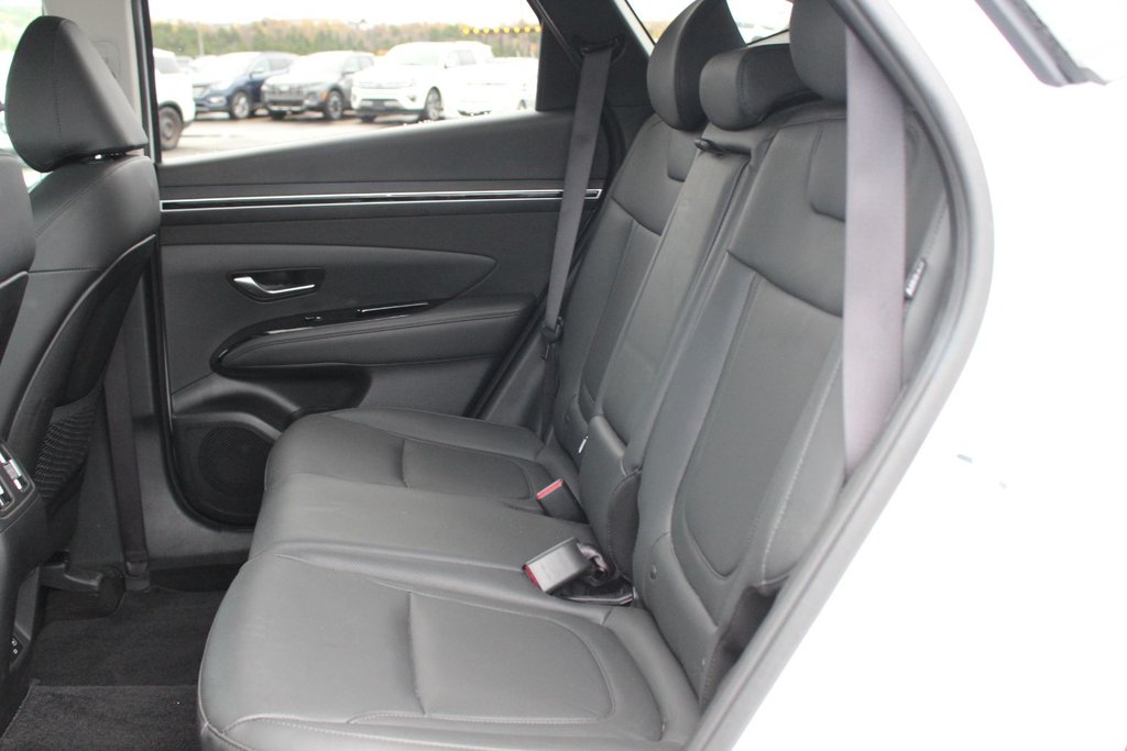2024 Hyundai TUCSON Trend | Roof | HtdSeats | Cam | Warranty to 2029 in Saint John, New Brunswick - 43 - w1024h768px