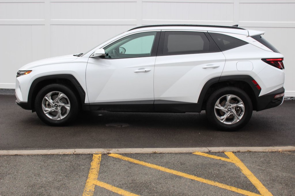 2024 Hyundai TUCSON Trend | Roof | HtdSeats | Cam | Warranty to 2029 in Saint John, New Brunswick - 4 - w1024h768px