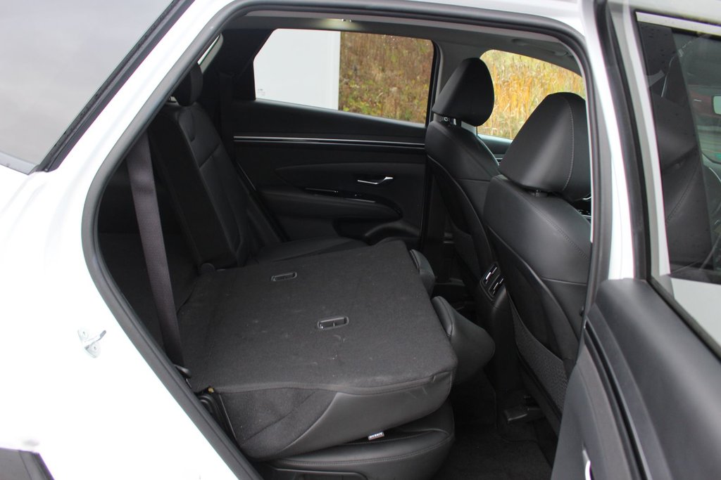 2024 Hyundai TUCSON Trend | Roof | HtdSeats | Cam | Warranty to 2029 in Saint John, New Brunswick - 49 - w1024h768px