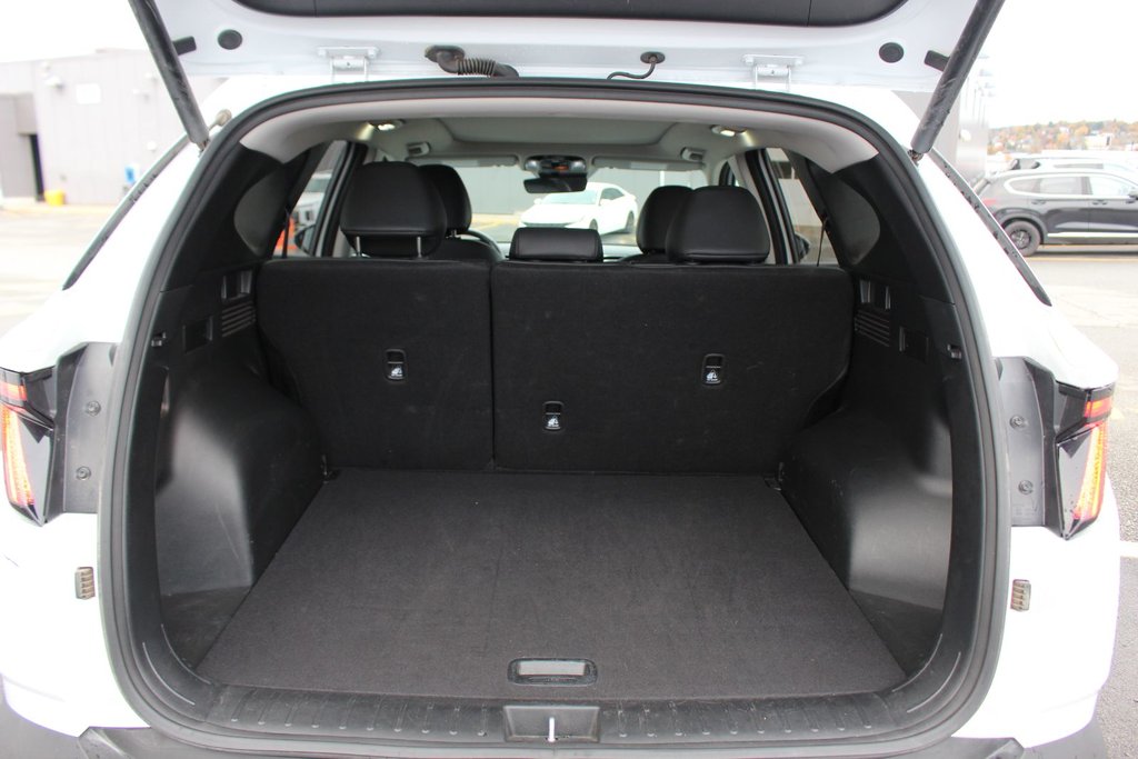 2024 Hyundai TUCSON Trend | Roof | HtdSeats | Cam | Warranty to 2029 in Saint John, New Brunswick - 50 - w1024h768px