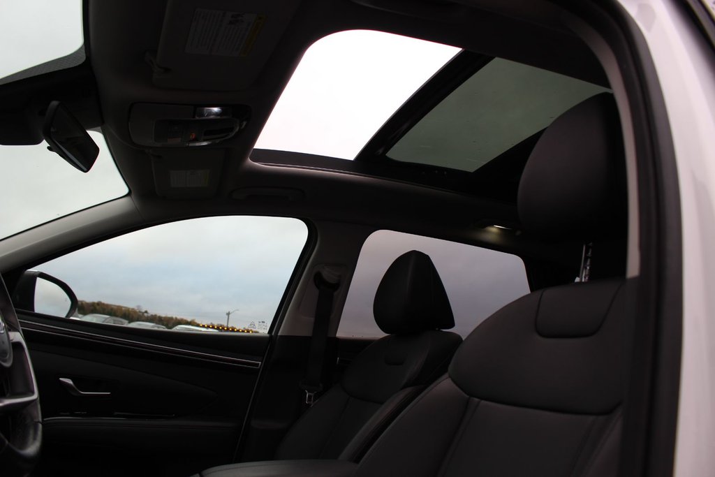 2024 Hyundai TUCSON Trend | Roof | HtdSeats | Cam | Warranty to 2029 in Saint John, New Brunswick - 11 - w1024h768px