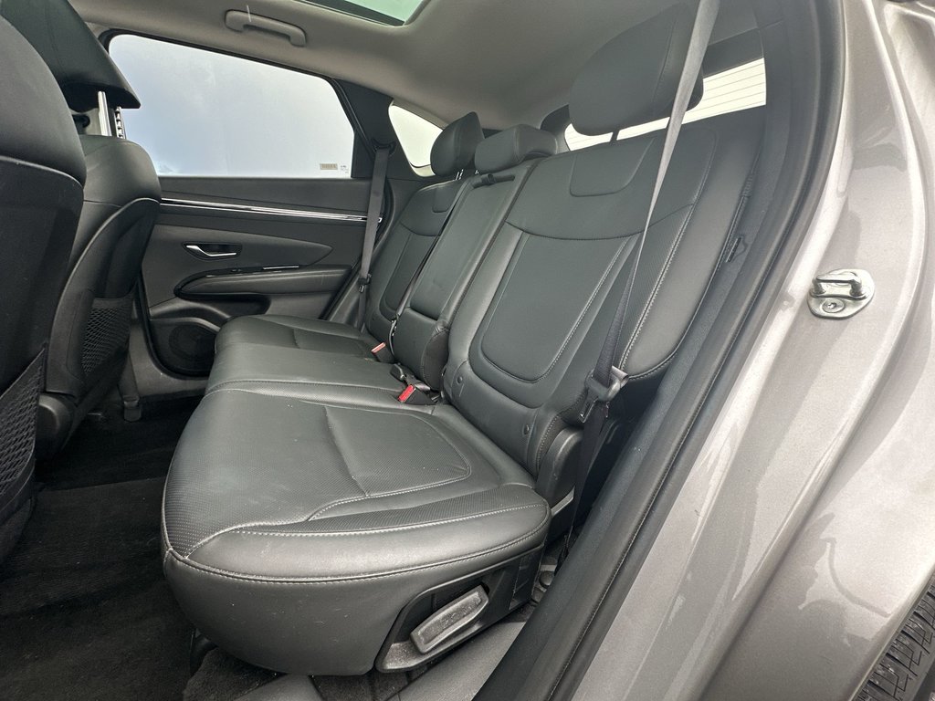 Hyundai Tucson Trend | Roof | HtdSeats | Warranty to 2029 2024 à Saint John, Nouveau-Brunswick - 34 - w1024h768px