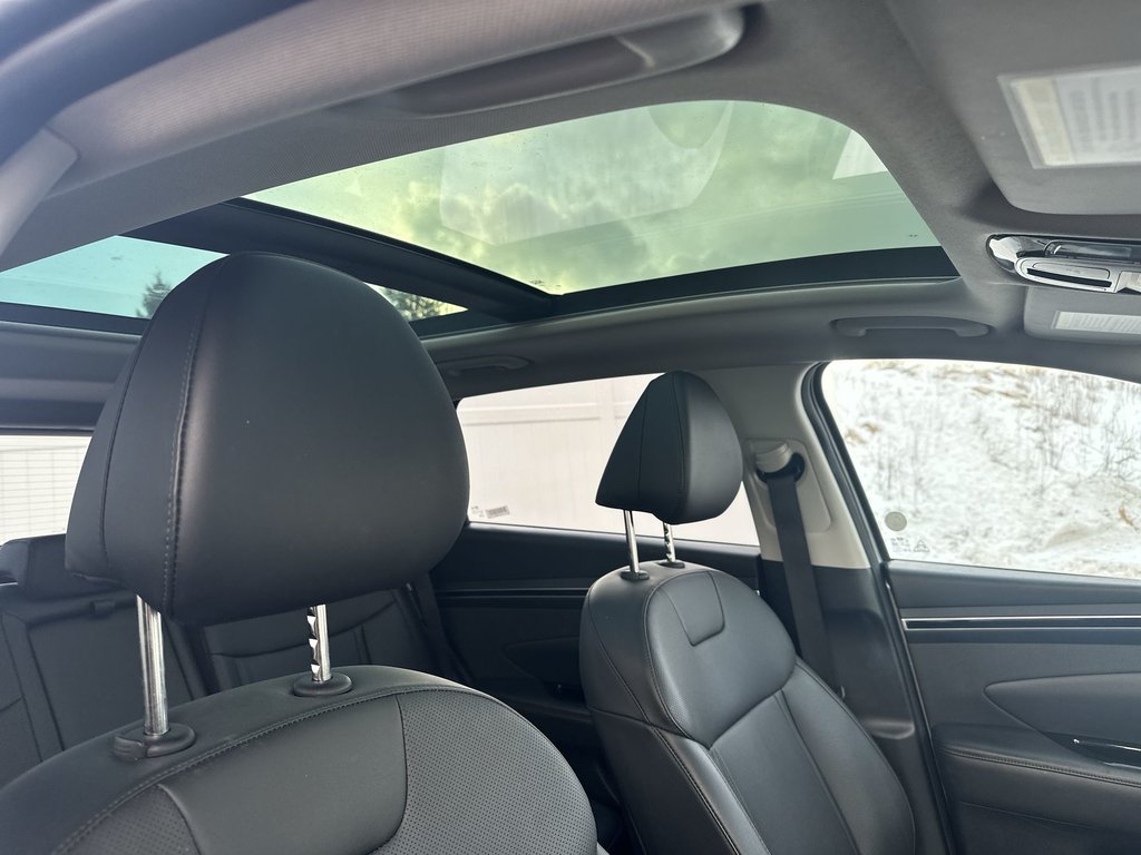 Hyundai Tucson Trend | Roof | HtdSeats | Warranty to 2029 2024 à Saint John, Nouveau-Brunswick - 48 - w1024h768px
