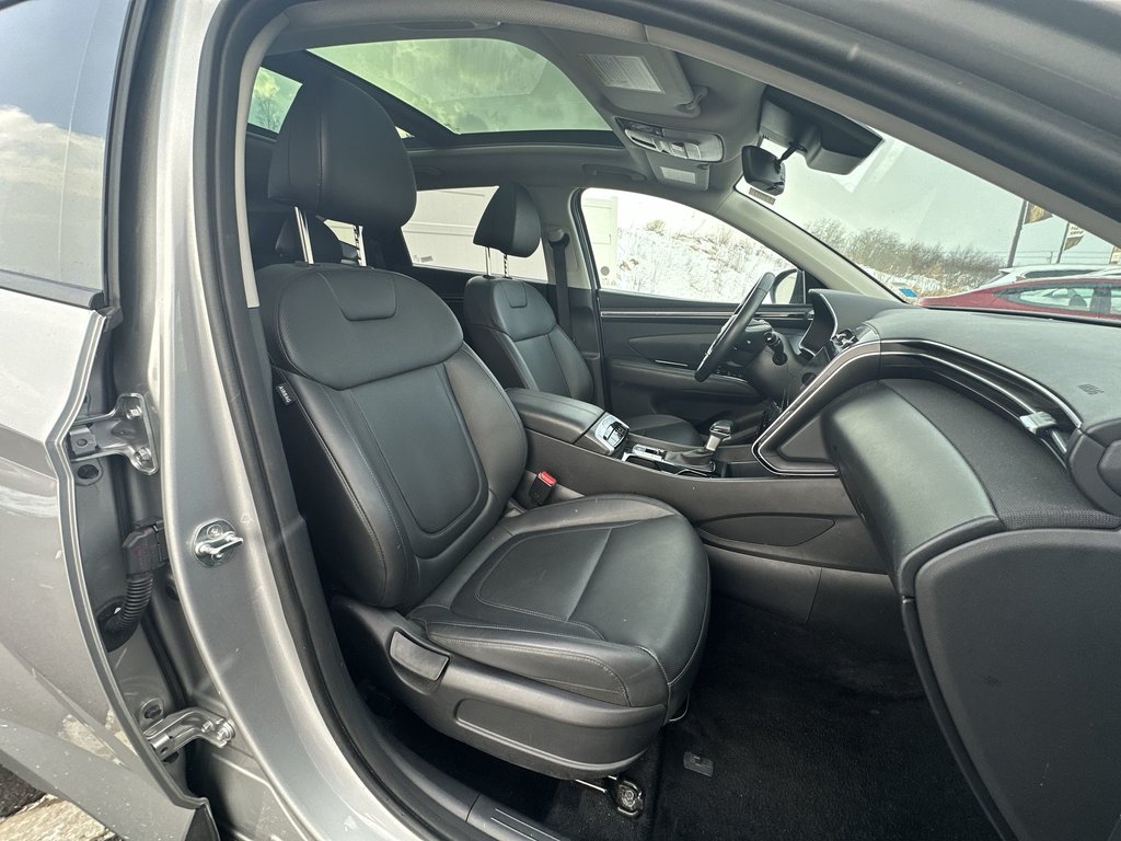Hyundai Tucson Trend | Roof | HtdSeats | Warranty to 2029 2024 à Saint John, Nouveau-Brunswick - 42 - w1024h768px