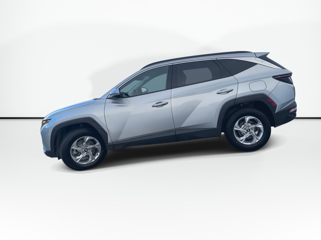 Hyundai Tucson Trend | Roof | HtdSeats | Warranty to 2029 2024 à Saint John, Nouveau-Brunswick - 5 - w1024h768px