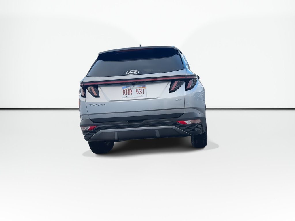 Hyundai Tucson Trend | Roof | HtdSeats | Warranty to 2029 2024 à Saint John, Nouveau-Brunswick - 7 - w1024h768px