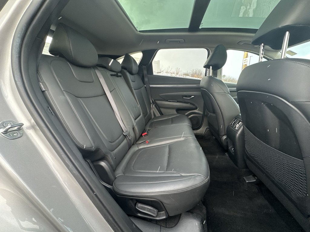 Hyundai Tucson Trend | Roof | HtdSeats | Warranty to 2029 2024 à Saint John, Nouveau-Brunswick - 40 - w1024h768px