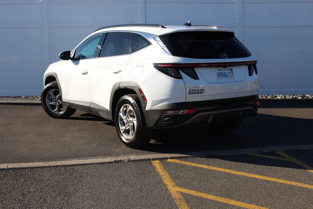 Hyundai Tucson Trend | Roof | HtdSeats | Warranty to 2029 2024 à Saint John, Nouveau-Brunswick - 5 - w1024h768px