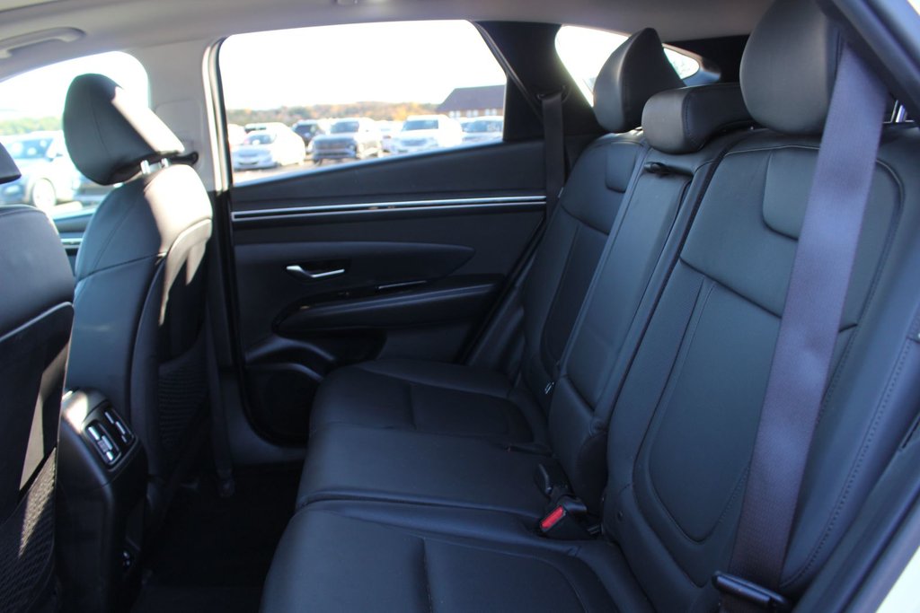 Hyundai Tucson Trend | Roof | HtdSeats | Warranty to 2029 2024 à Saint John, Nouveau-Brunswick - 46 - w1024h768px