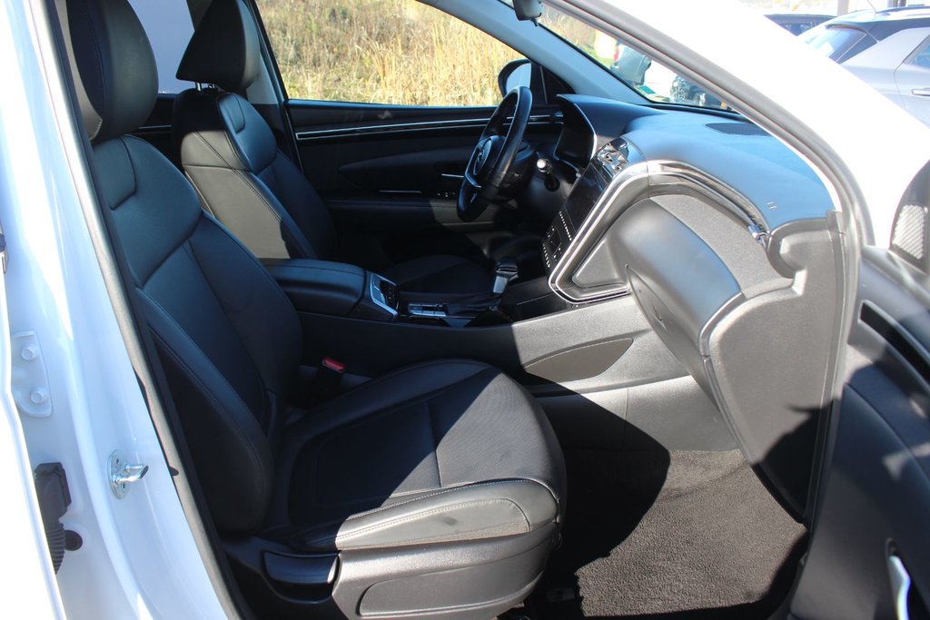 Hyundai Tucson Trend | Roof | HtdSeats | Warranty to 2029 2024 à Saint John, Nouveau-Brunswick - 40 - w1024h768px