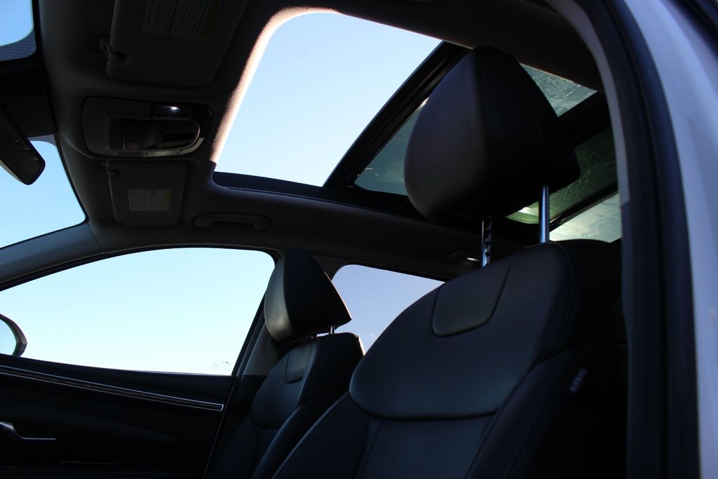 Hyundai Tucson Trend | Roof | HtdSeats | Warranty to 2029 2024 à Saint John, Nouveau-Brunswick - 12 - w1024h768px