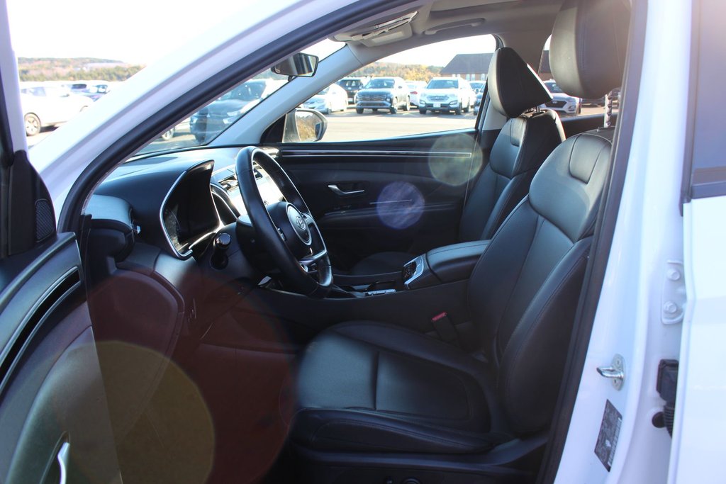 Hyundai Tucson Trend | Roof | HtdSeats | Warranty to 2029 2024 à Saint John, Nouveau-Brunswick - 10 - w1024h768px