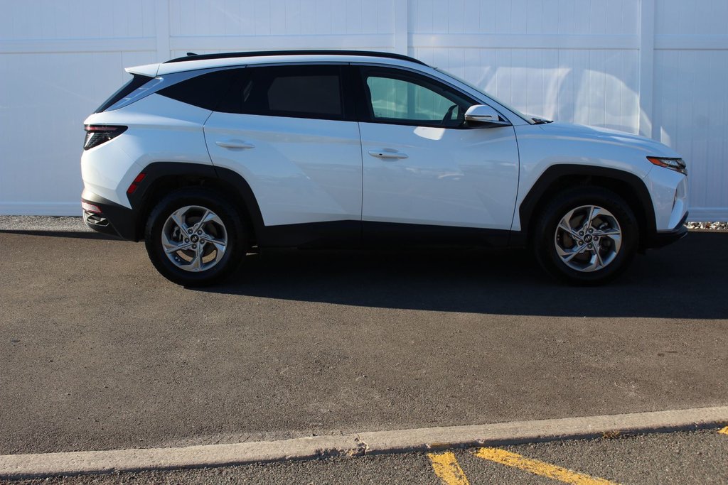 Hyundai Tucson Trend | Roof | HtdSeats | Warranty to 2029 2024 à Saint John, Nouveau-Brunswick - 8 - w1024h768px