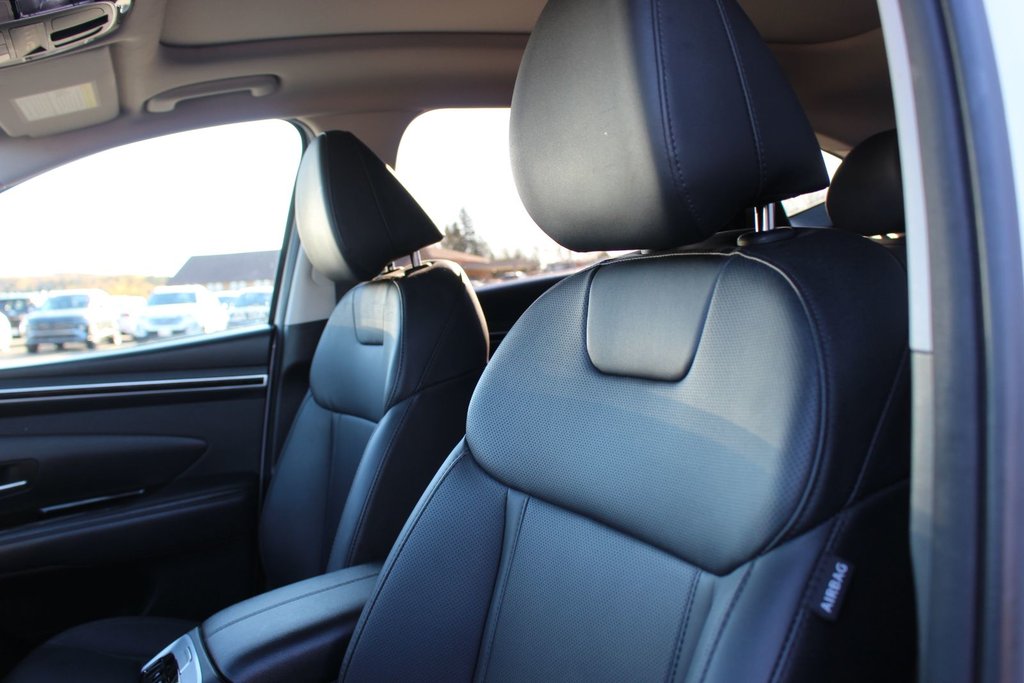 Hyundai Tucson Trend | Roof | HtdSeats | Warranty to 2029 2024 à Saint John, Nouveau-Brunswick - 11 - w1024h768px