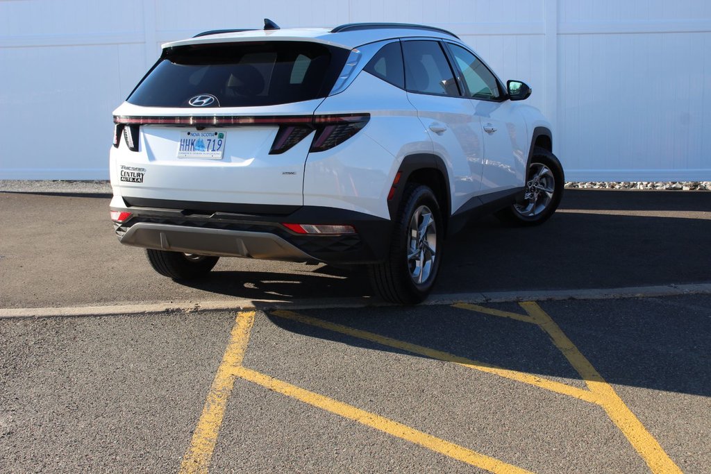 Hyundai Tucson Trend | Roof | HtdSeats | Warranty to 2029 2024 à Saint John, Nouveau-Brunswick - 7 - w1024h768px
