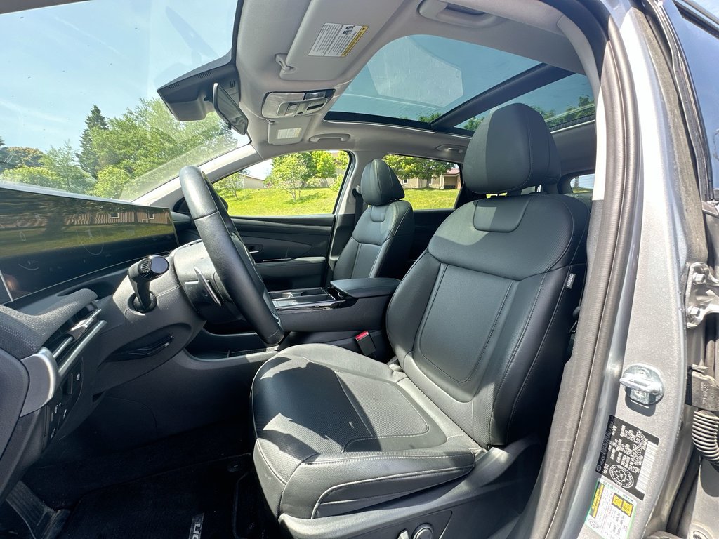 2025 Hyundai Tucson Preferred Trend | Lthr | Roof | Warranty to 2030 in Saint John, New Brunswick - 11 - w1024h768px