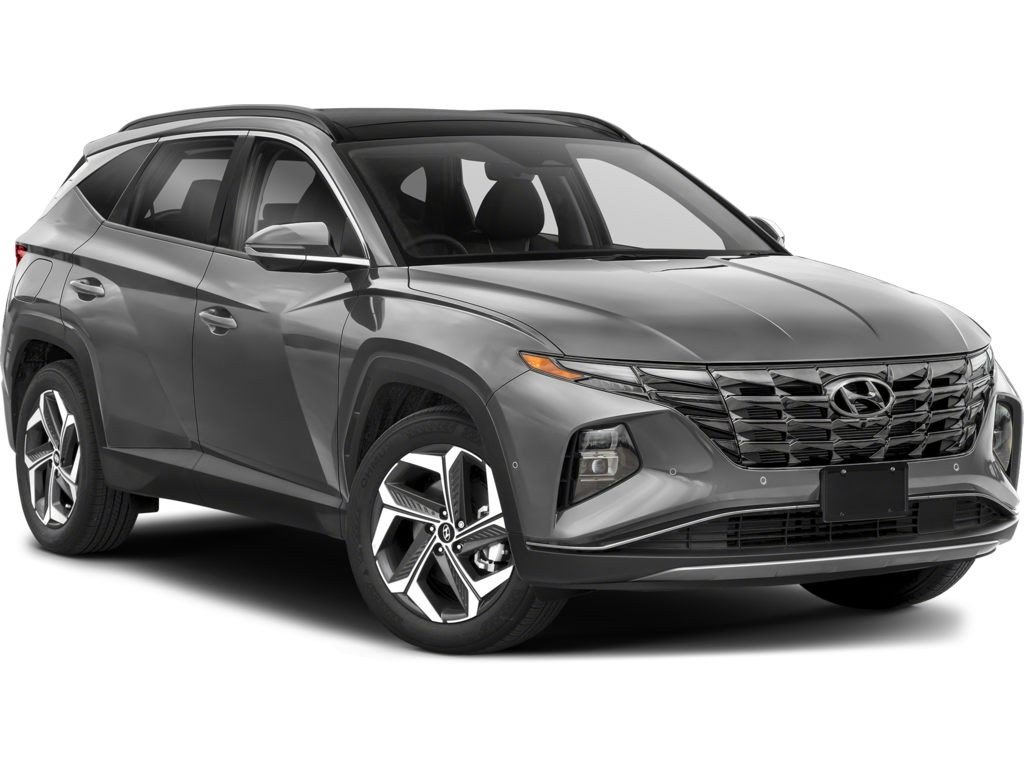 2025 Hyundai Tucson Preferred Trend | Lthr | Roof | Warranty to 2030 in Saint John, New Brunswick - 1 - w1024h768px