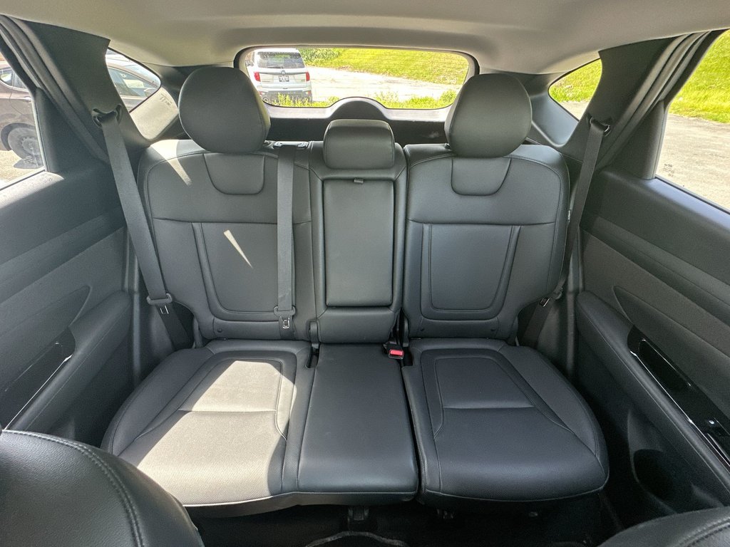 2025 Hyundai Tucson Preferred Trend | Lthr | Roof | Warranty to 2030 in Saint John, New Brunswick - 52 - w1024h768px