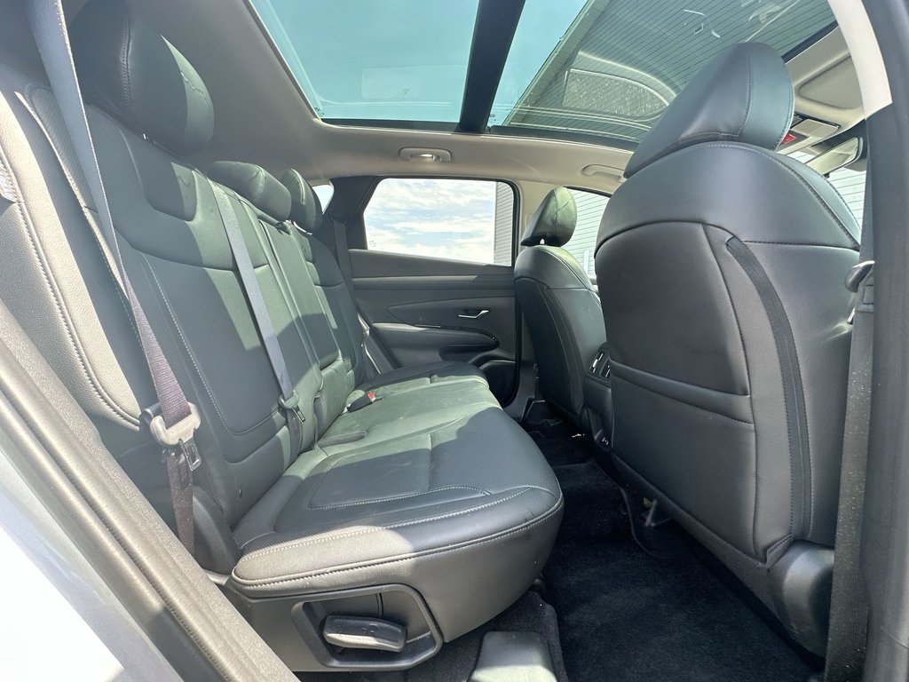 2025 Hyundai Tucson Preferred Trend | Lthr | Roof | Warranty to 2030 in Saint John, New Brunswick - 40 - w1024h768px