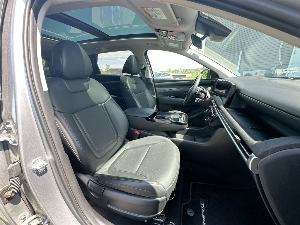 2025 Hyundai Tucson Preferred Trend | Lthr | Roof | Warranty to 2030 in Saint John, New Brunswick - 42 - w1024h768px