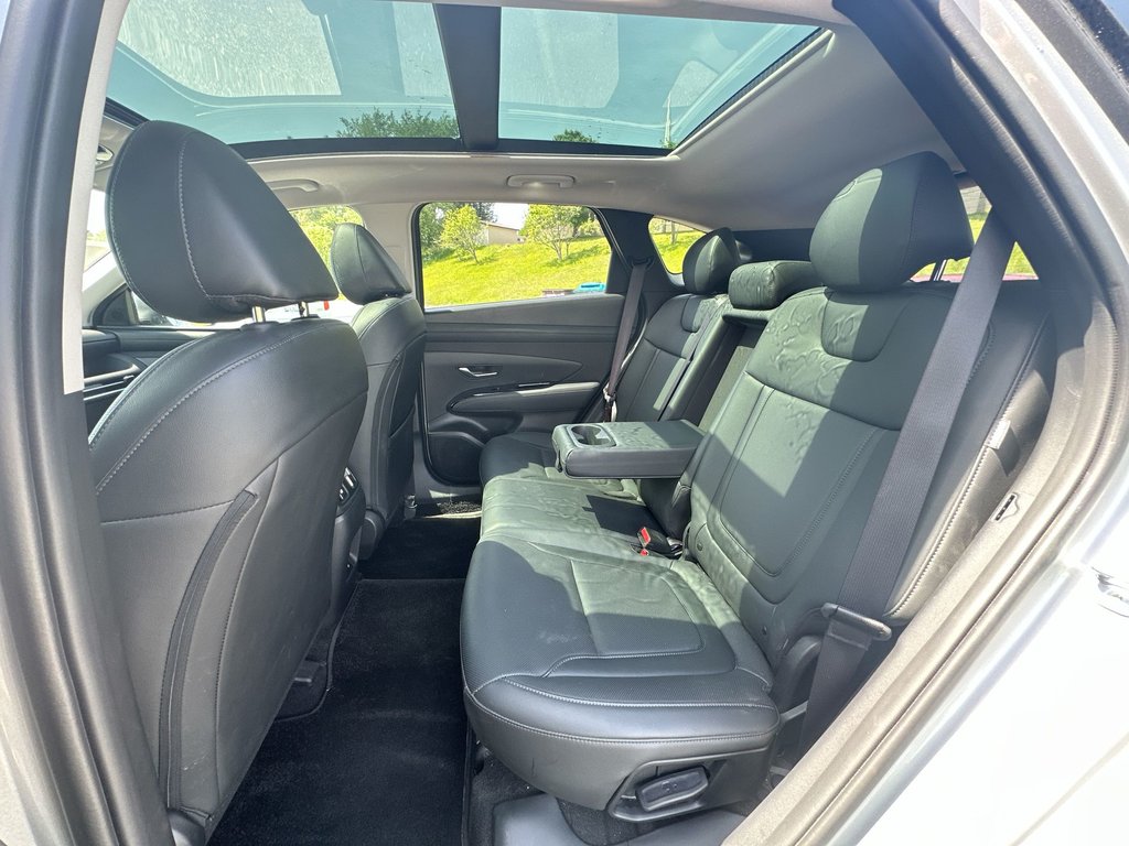 2025 Hyundai Tucson Preferred Trend | Lthr | Roof | Warranty to 2030 in Saint John, New Brunswick - 33 - w1024h768px