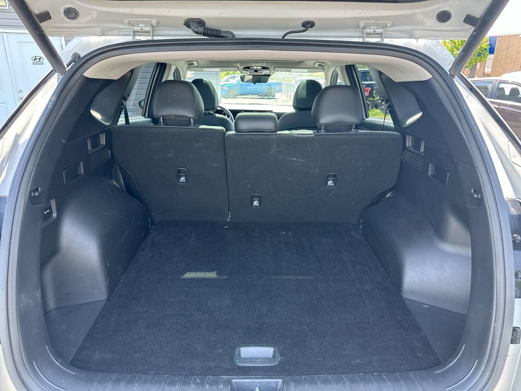 2025 Hyundai Tucson Preferred Trend | Lthr | Roof | Warranty to 2030 in Saint John, New Brunswick - 36 - w1024h768px