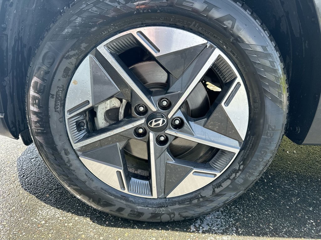 2025 Hyundai Tucson Preferred Trend | Lthr | Roof | Warranty to 2030 in Saint John, New Brunswick - 10 - w1024h768px