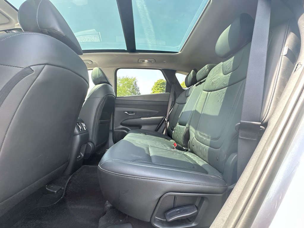 2025 Hyundai Tucson Preferred Trend | Lthr | Roof | Warranty to 2030 in Saint John, New Brunswick - 34 - w1024h768px