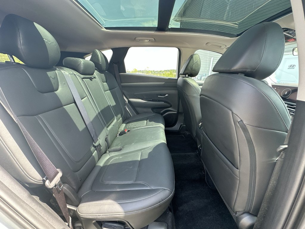 2025 Hyundai Tucson Preferred Trend | Lthr | Roof | Warranty to 2030 in Saint John, New Brunswick - 39 - w1024h768px