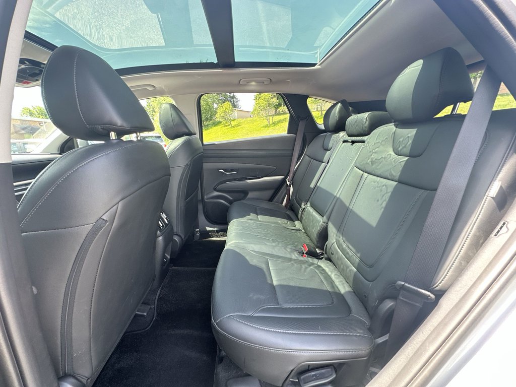 2025 Hyundai Tucson Preferred Trend | Lthr | Roof | Warranty to 2030 in Saint John, New Brunswick - 32 - w1024h768px