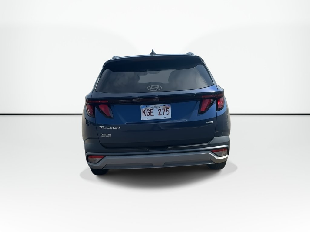 2025 Hyundai Tucson Preferred | Htd Whl | Buetooth | Warranty to 2030 in Saint John, New Brunswick - 9 - w1024h768px