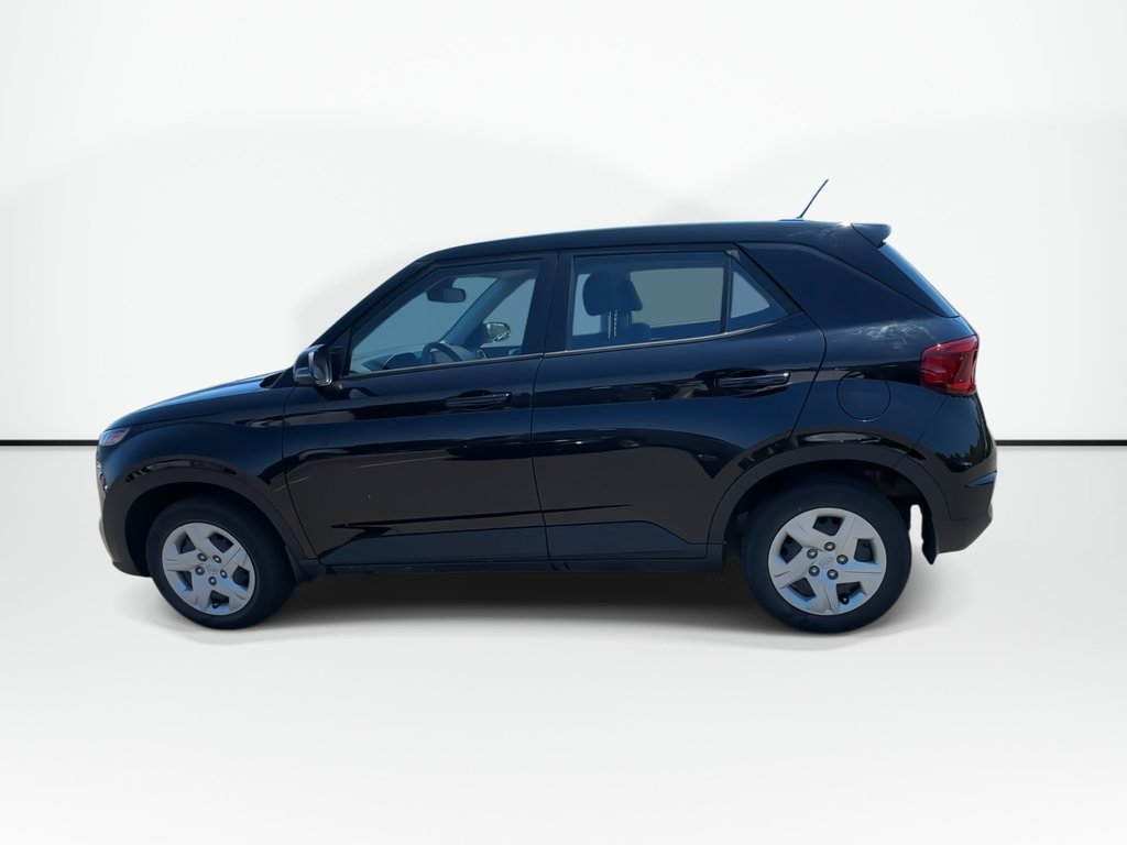 2023 Hyundai Venue Essential | Heatd Sts | Keyless | Cam | Bluetooth in Saint John, New Brunswick - 5 - w1024h768px