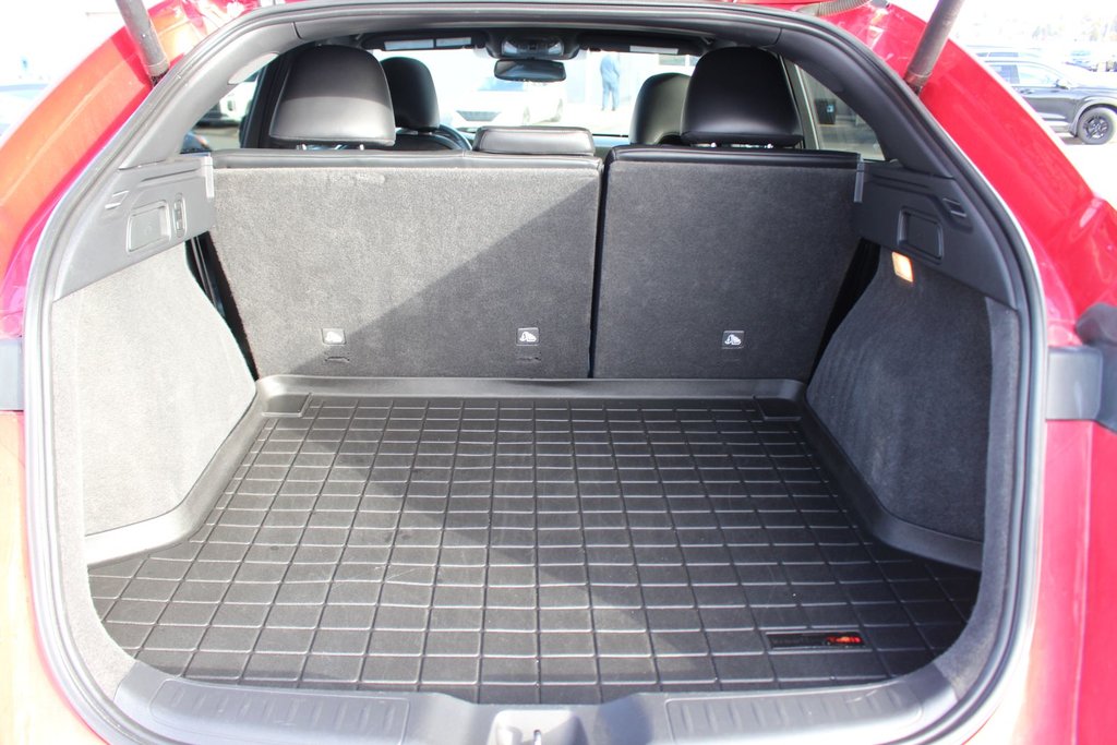 2022 Infiniti QX55 in Antigonish, Nova Scotia - 55 - w1024h768px