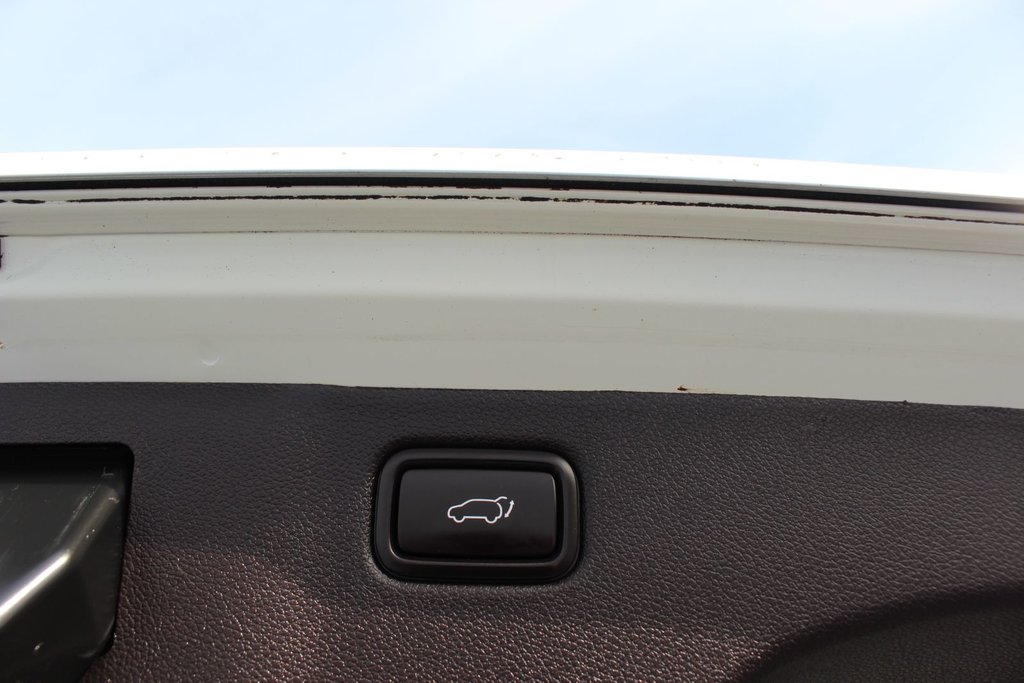 2017 Kia Sedona SXL | Lthr | Cam | HtdSeats | Bluetooth | Aux in Saint John, New Brunswick - 59 - w1024h768px